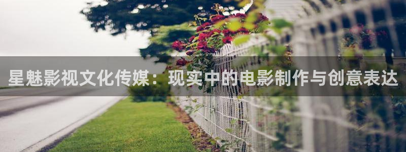 青柠影视大全