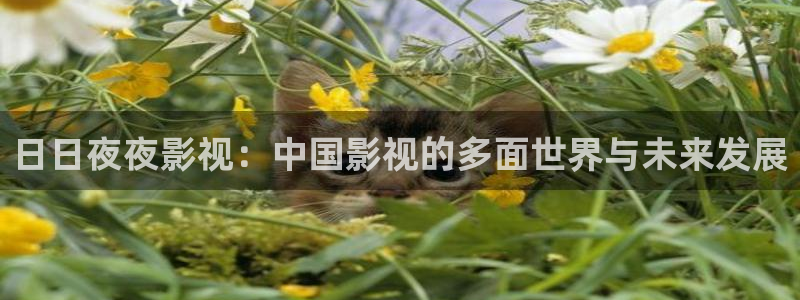 青柠影院免费高清完整版电视剧