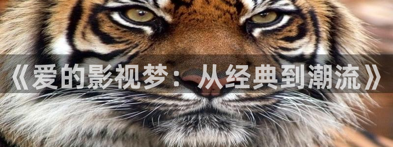 青柠影院在线观看高清电影