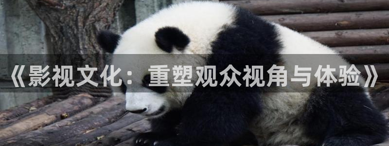 八戒青柠影院观看免费高清电视剧三