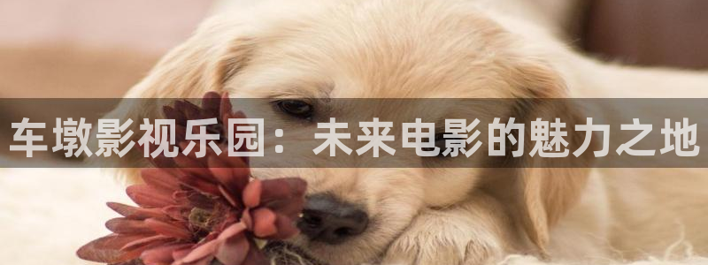 青柠影片